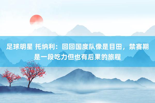 足球明星 托纳利：回回国度队像是目田，禁赛期是一段吃力但也有后果的旅程