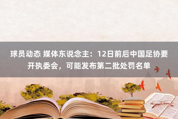 球员动态 媒体东说念主：12日前后中国足协要开执委会，可能发布第二批处罚名单