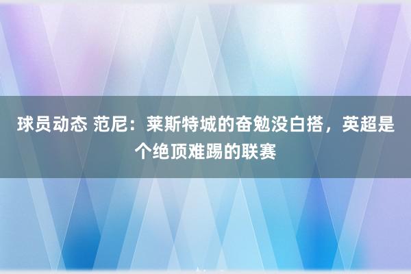 球员动态 范尼：莱斯特城的奋勉没白搭，英超是个绝顶难踢的联赛